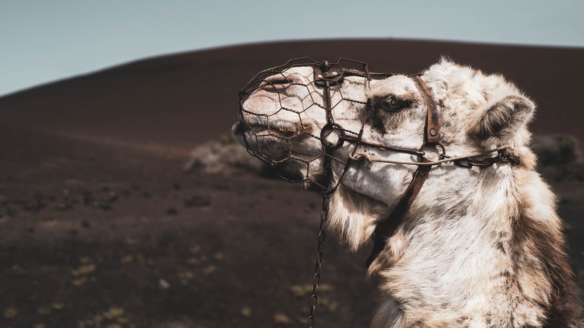 Sport & Outdoor — 3