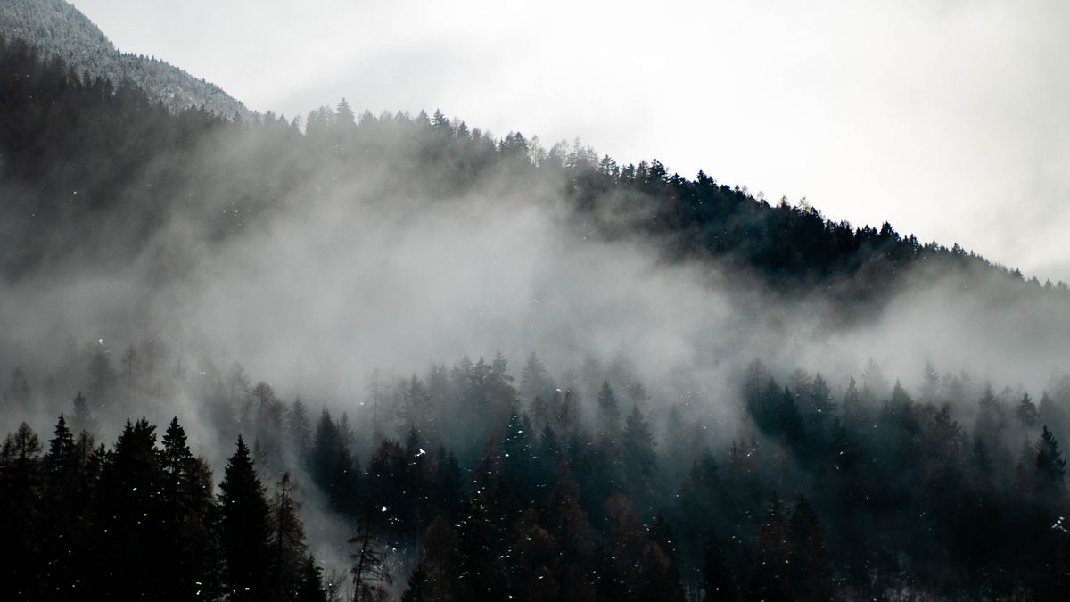 Sport & Outdoor — 5