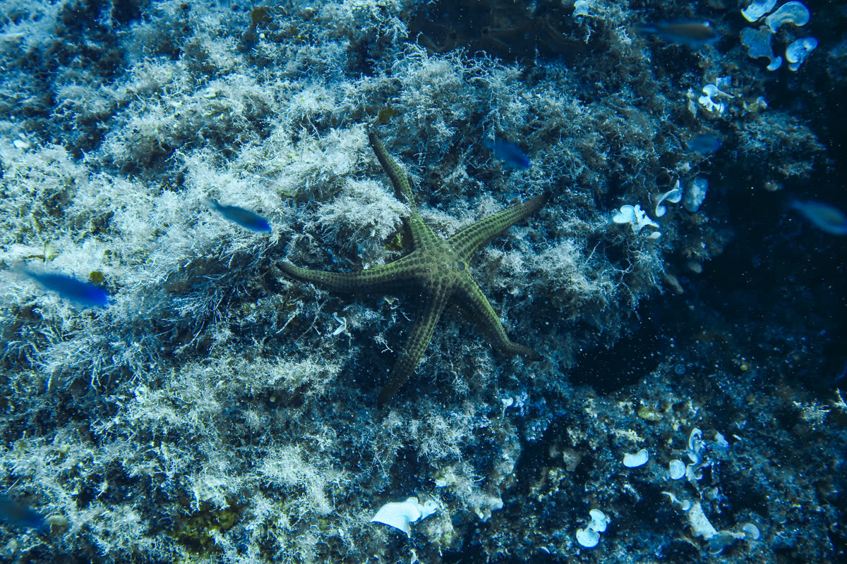 Mediterraneo — shot 5