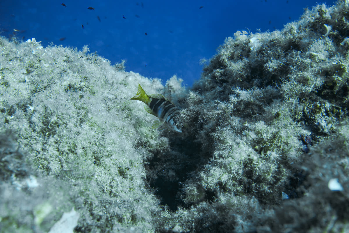 Mediterraneo — shot 8