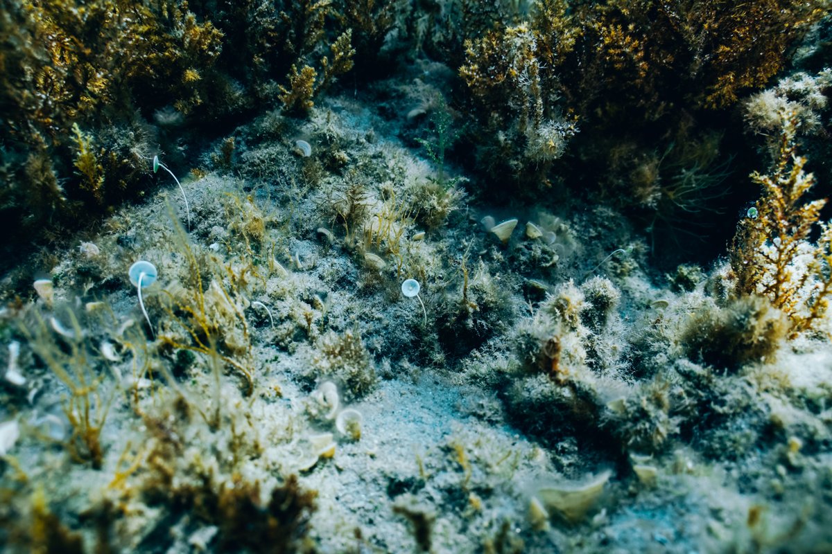 Mediterraneo — shot 13
