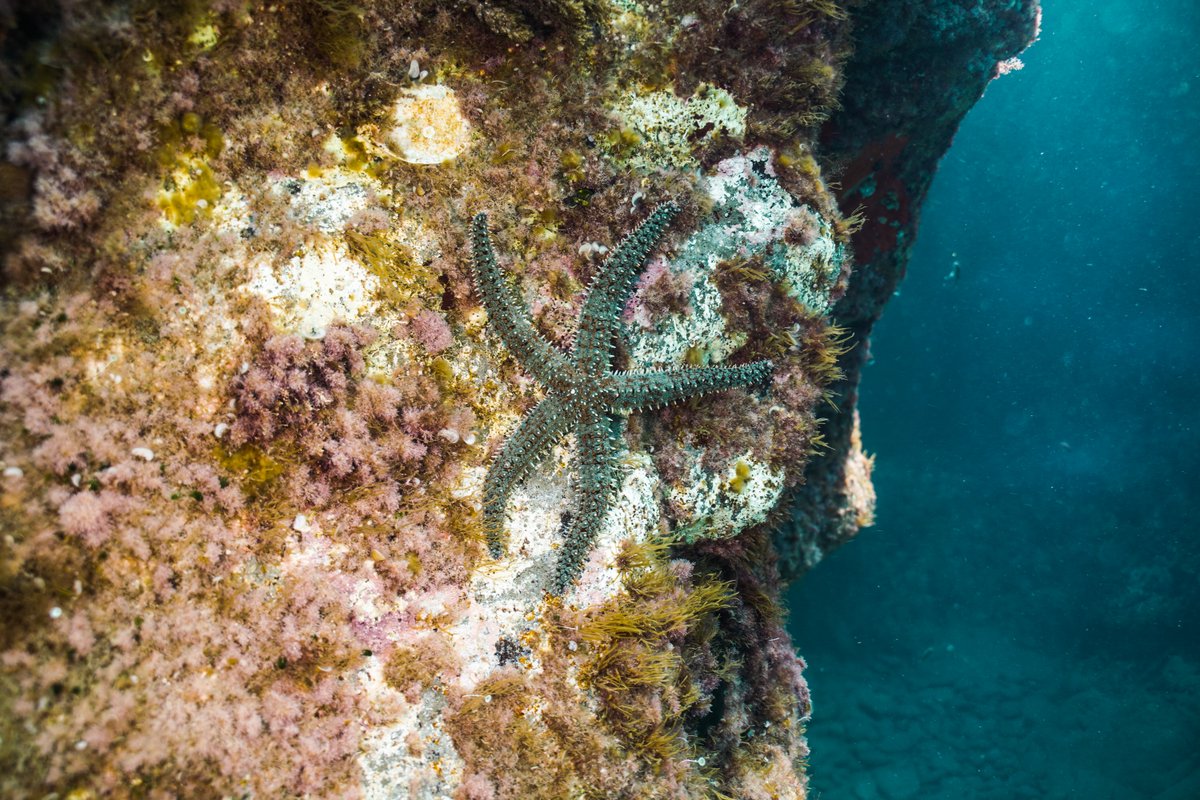 Mediterraneo — shot 17