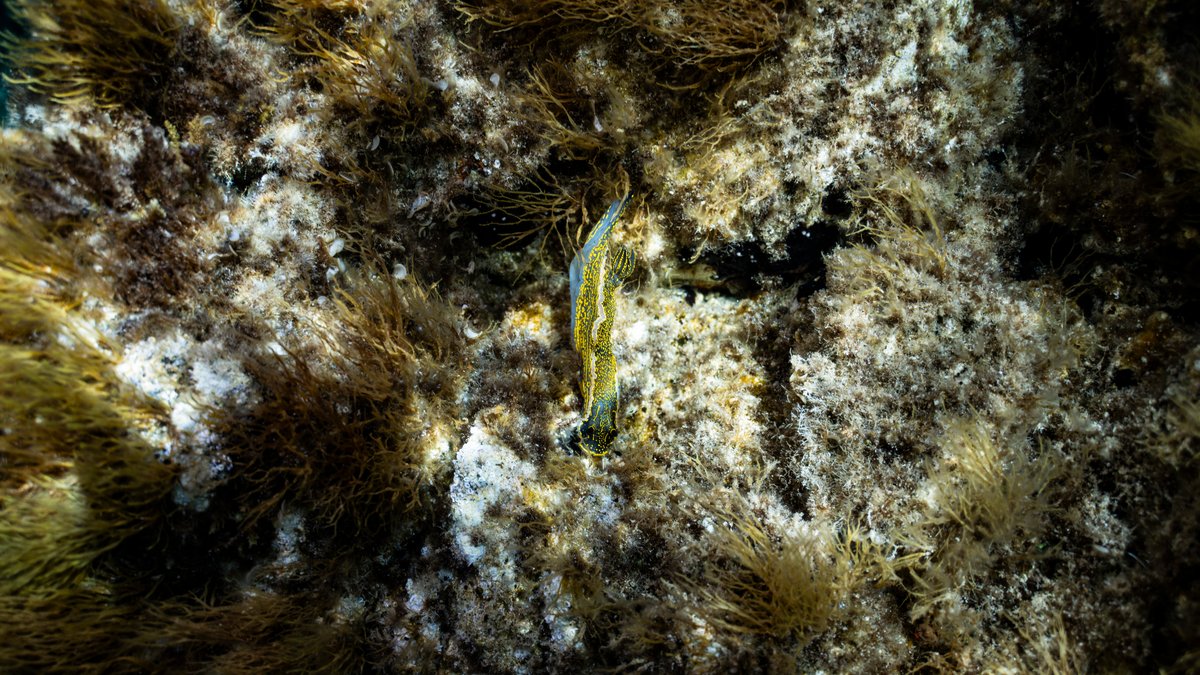Mediterraneo — shot 43